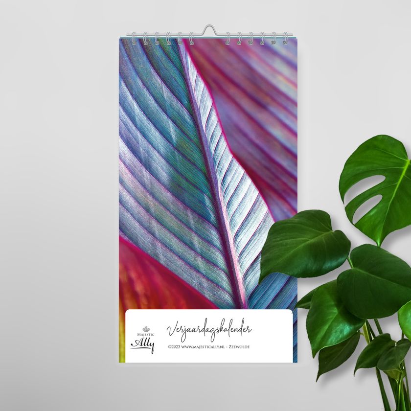 7445905197135 485ab567