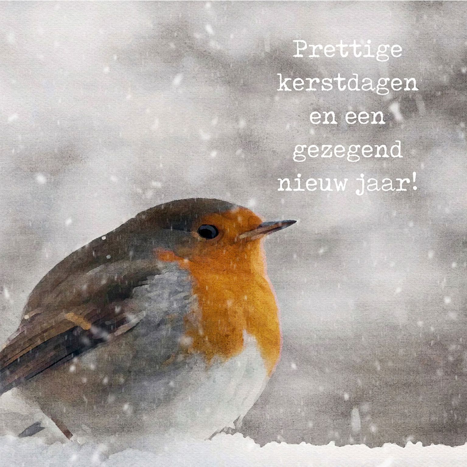 MA41221 - Minikerstkaart 'Roodborstje'