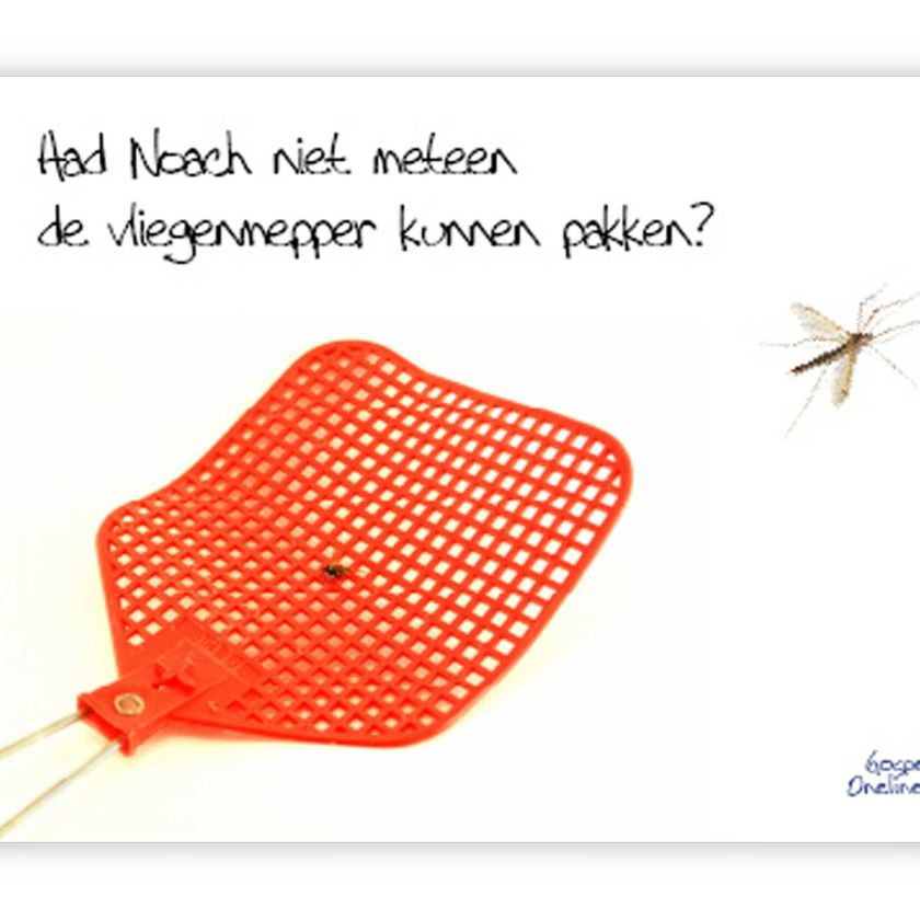 Poster A4 kon noach niet meteen de vliegenm - 46713 -  Wanddeco/posters bij MajesticAlly