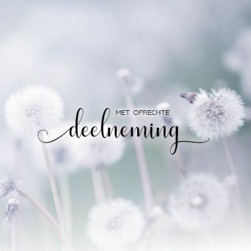 Kaart 'Deelneming - blaasbloemen' - MA34015 -  Stille momenten bij MajesticAlly