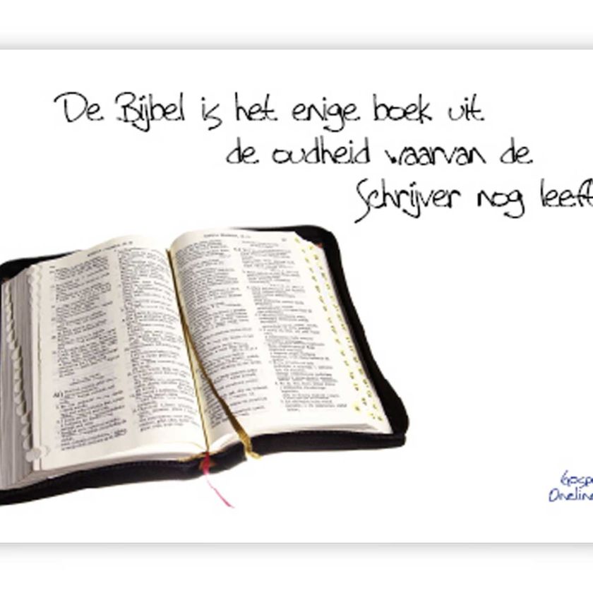 Poster A4 de bijbel is het boek uit de oudh - 46704 -  Wanddeco/posters bij MajesticAlly