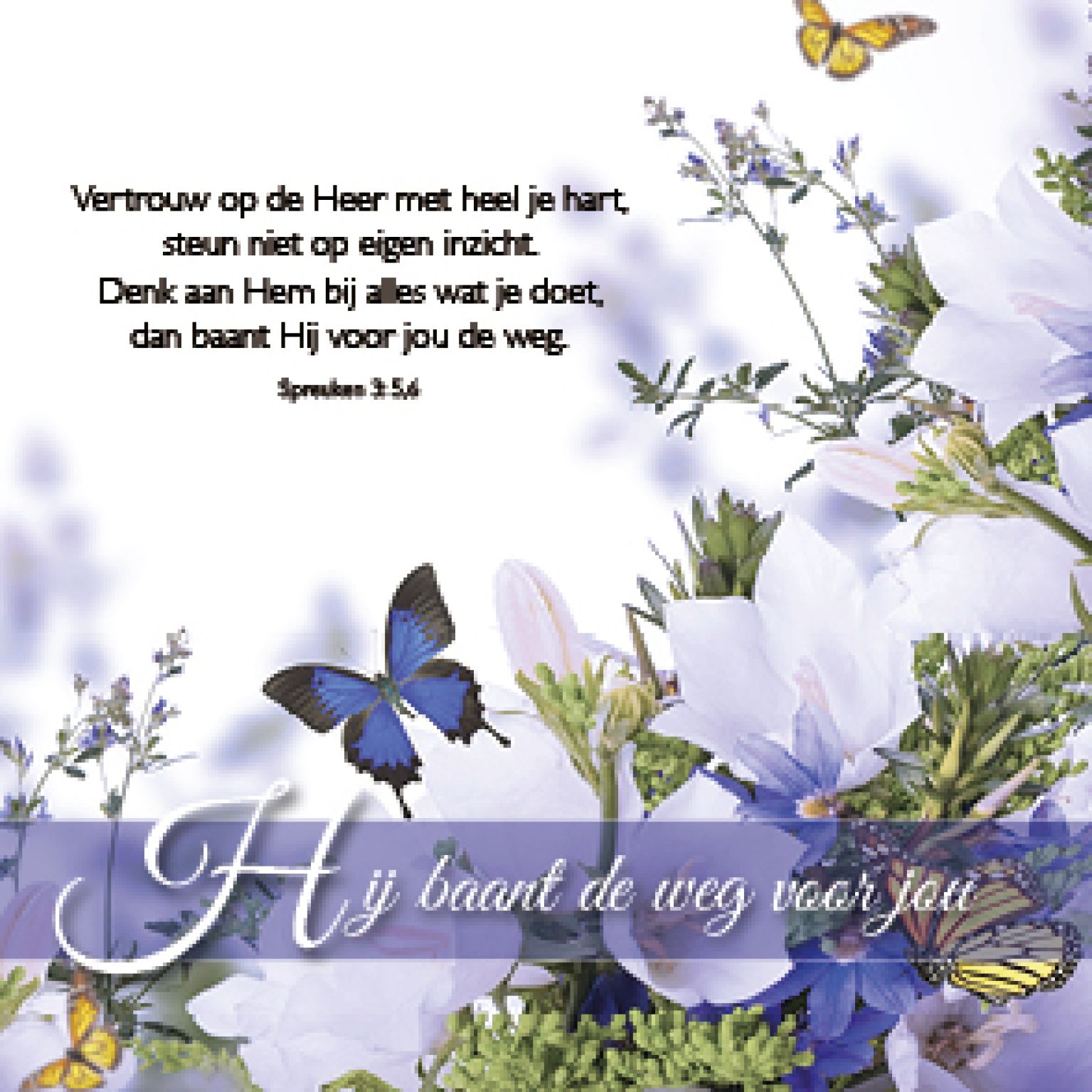 MA46205 Kadokaartje Hij baant de weg voor jou 4c64d2f0