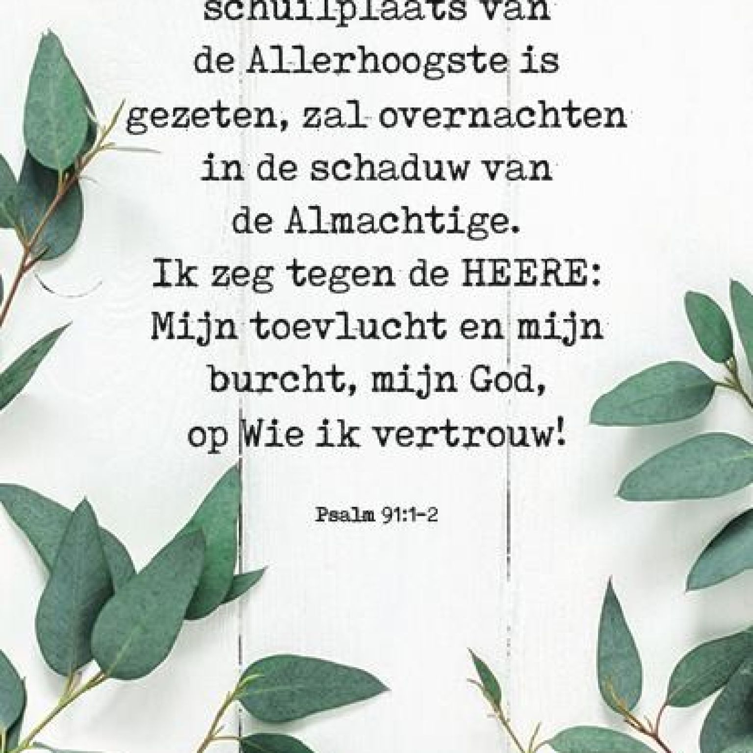 Pakket voordeelkaarten serie 1 - MA38075 -  Voordeelpakjes bij MajesticAlly