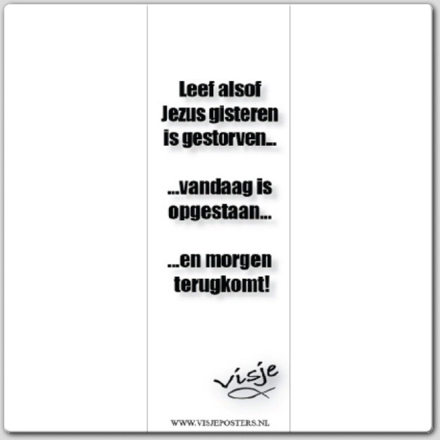 Boekenlegger visje leef alsof Jezus gist - 44877 -  Visje bij MajesticAlly