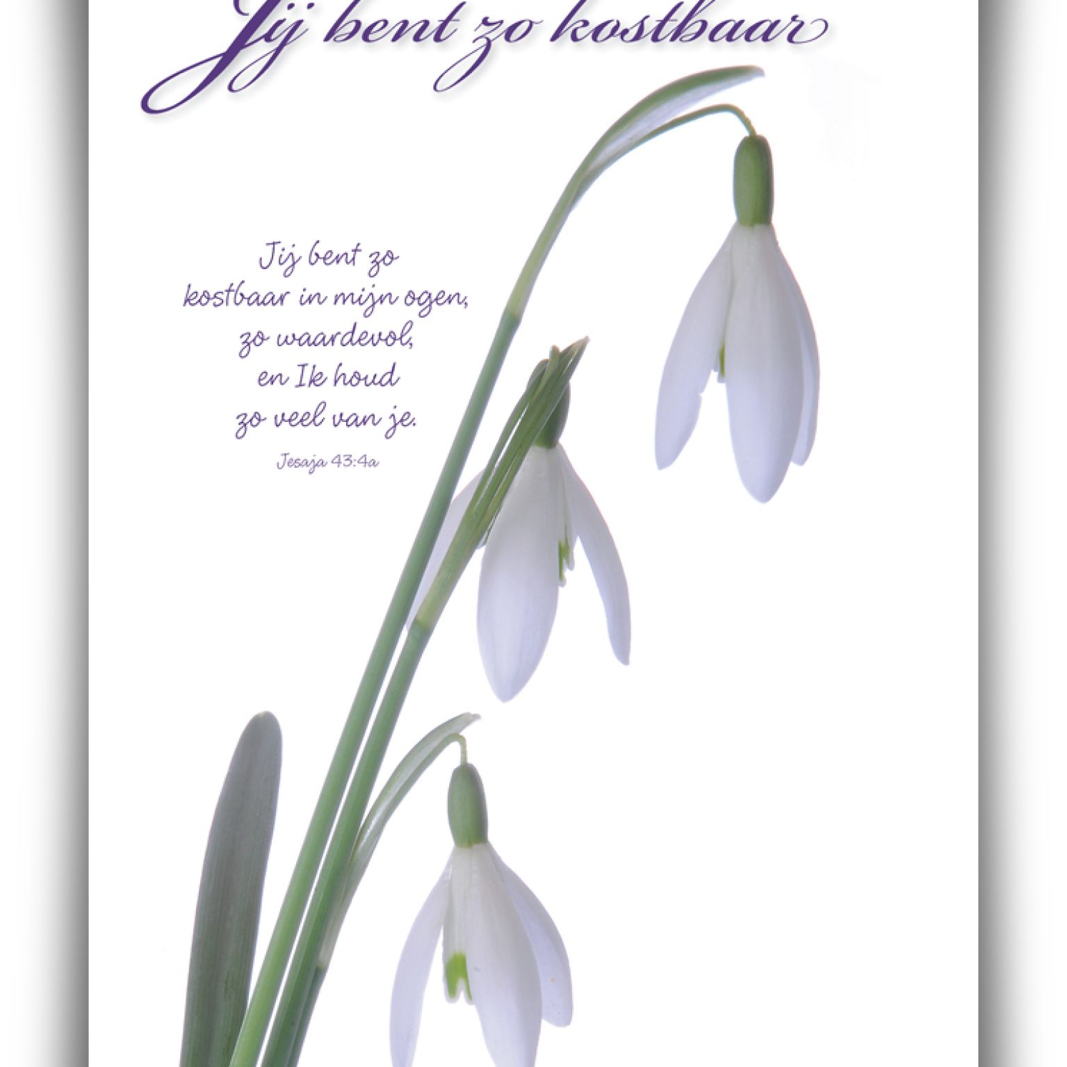 Poster A4 'Je bent zo kostbaar' - 46816 -  Wanddeco/posters bij MajesticAlly