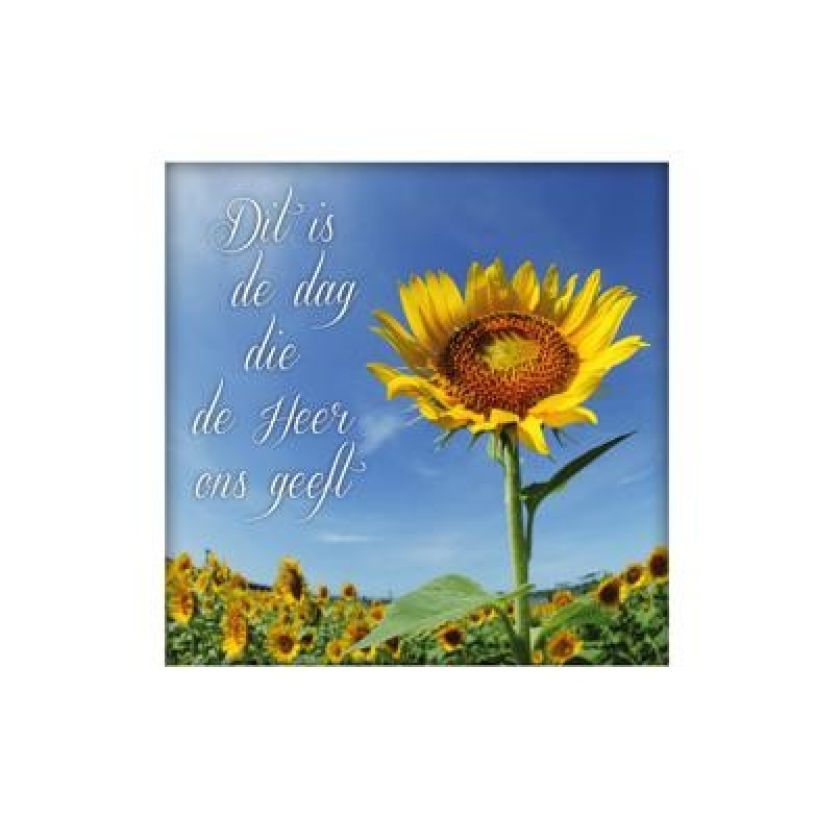 Sponsorpakket  'Living Melodies' voor een bijbel - MA15000S -  Living Melodies bij MajesticAlly