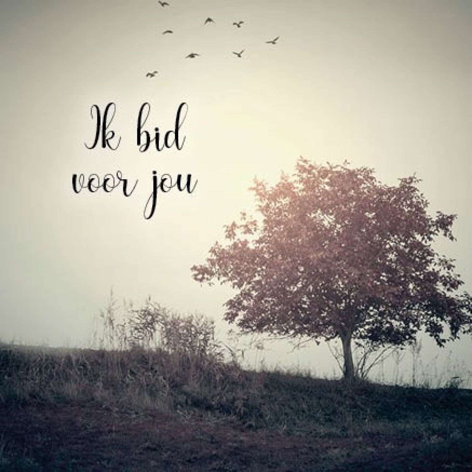 Kaart 'Ik bid voor jou - herfstboom' - MA34006 -  Stille momenten bij MajesticAlly