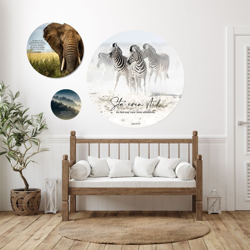 Muurcirkel 'Zebra's - Sta even stil' - 100 cm  - MA39415 -  Wanddeco bij MajesticAlly