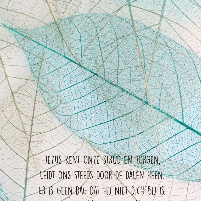 Opwekking 588 - 552642 -  Opwekking bij MajesticAlly