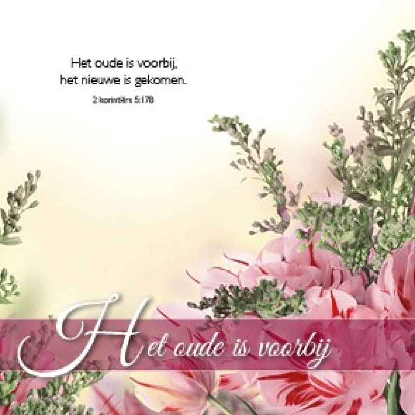 Voordeelpak 100 verschillende vierkante kaarten (assortie) - MA11099 -  Kaarten bij MajesticAlly