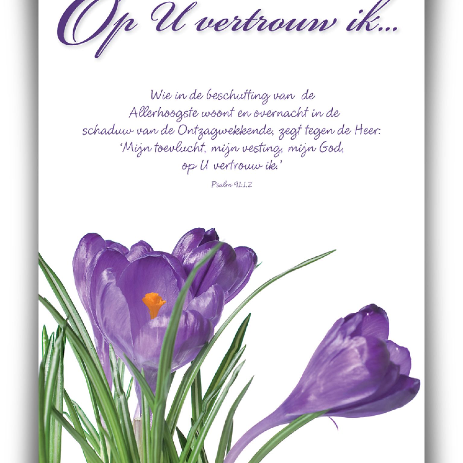 Poster A4 'Ik vertrouw op U' - 46820 -  Wanddeco/posters bij MajesticAlly