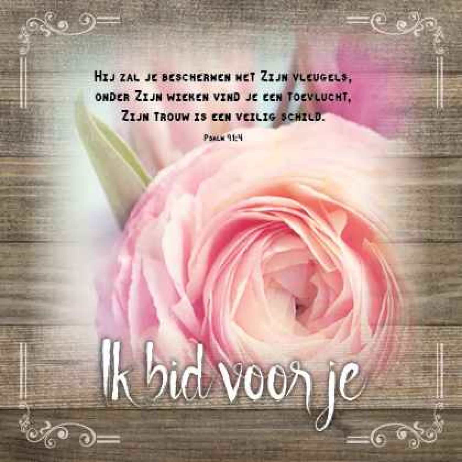 Kaart 'Ik bid voor je' - MA19023 -  Brocante bij MajesticAlly