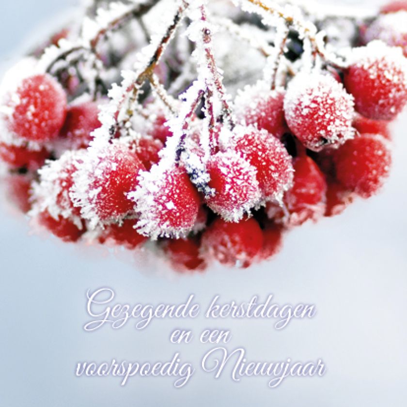 Kerstkaart 'Tros besjes' - MA16018 -  Christelijke kerstkaarten bij MajesticAlly