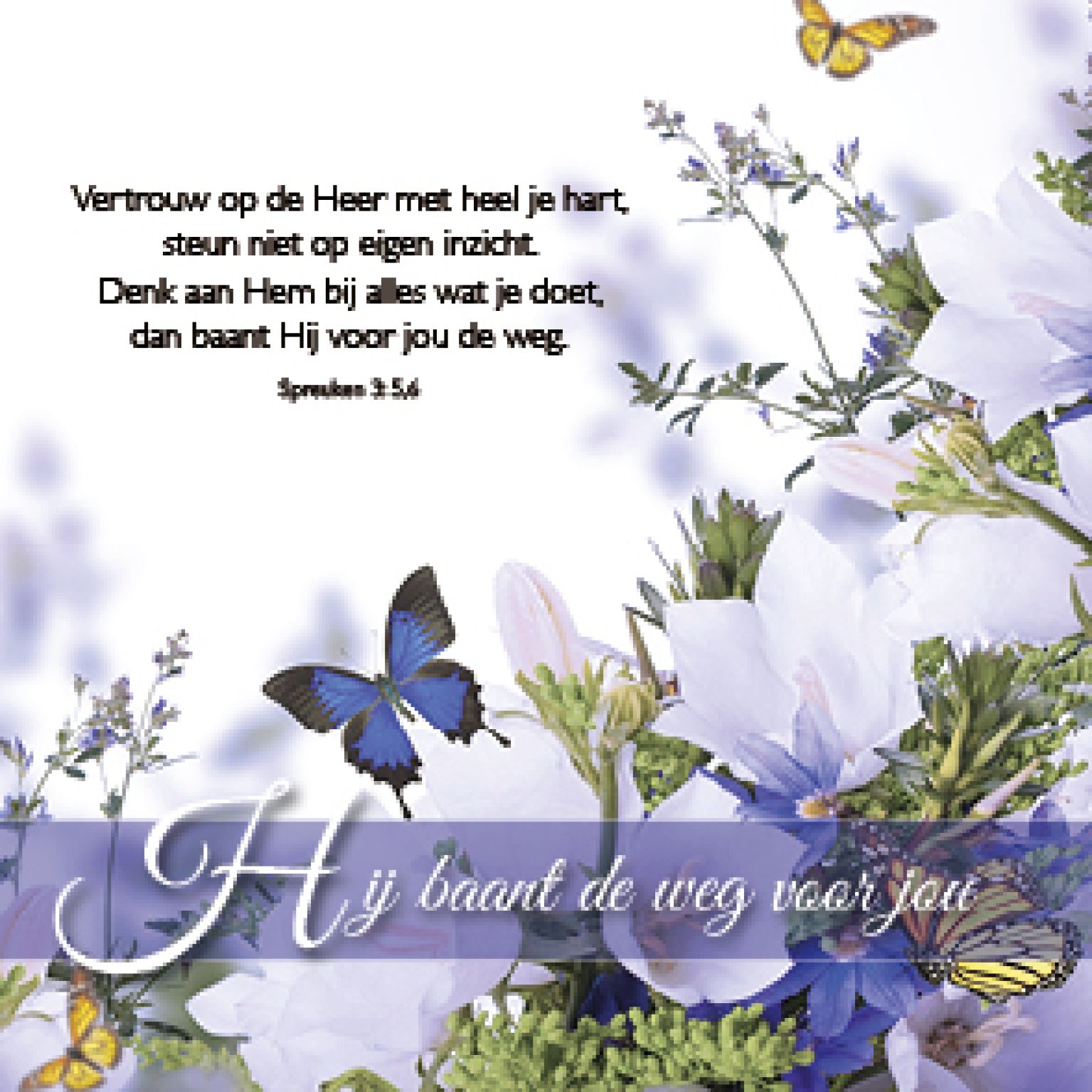 Kaart 'Hij baant de weg voor jou' - MA46110 -  Bemoediging