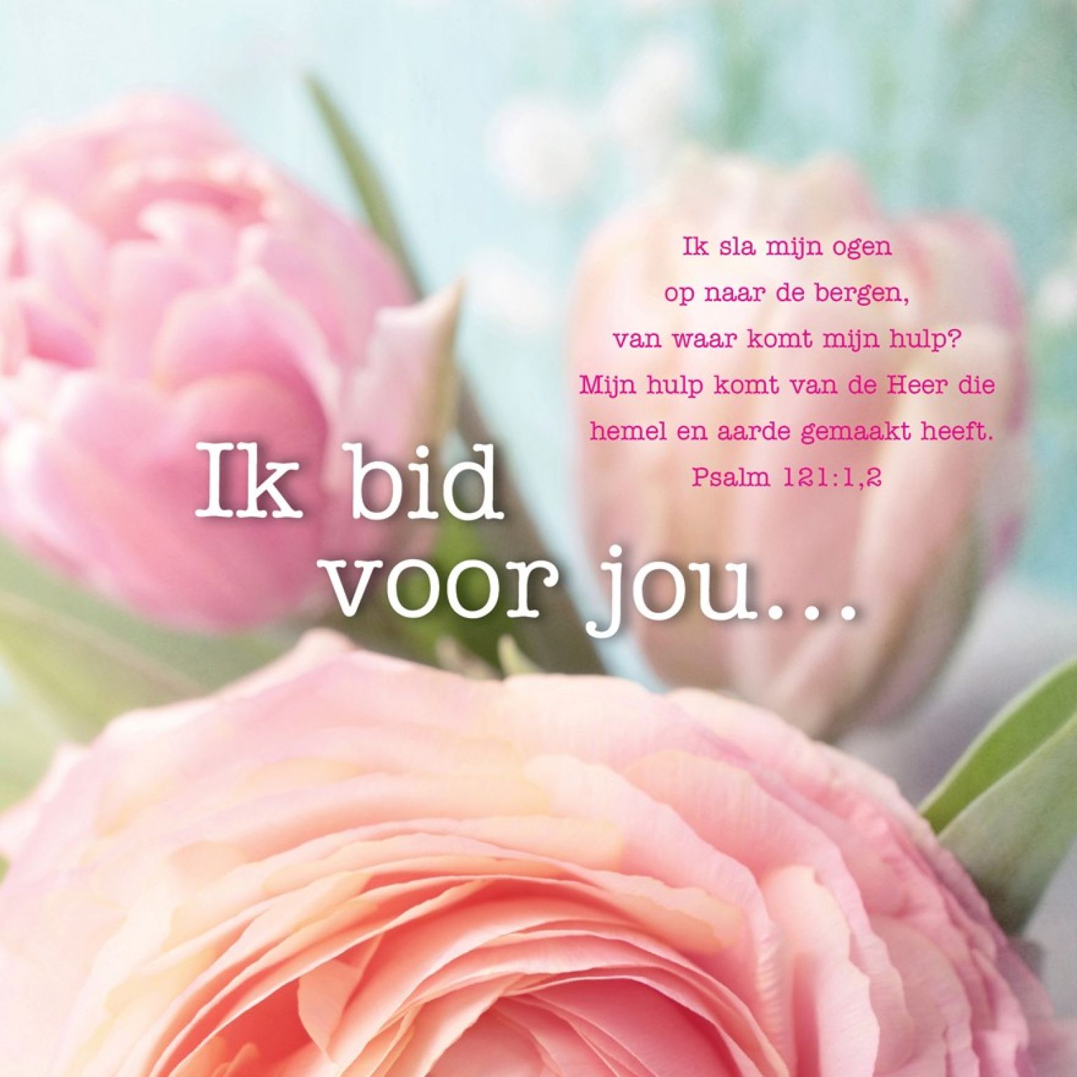 Voordeelpak 100 verschillende vierkante kaarten (assortie) - MA11099 -  Kaarten bij MajesticAlly