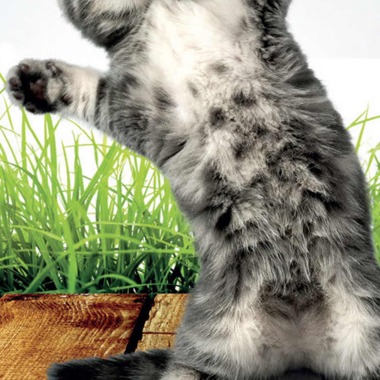 Boekenlegger God is groot - MA11401 -  David Sorensen bij MajesticAlly