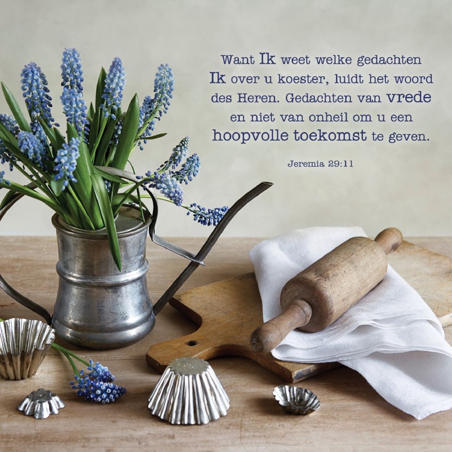 * Voordeelpakket Lifestyle  - 36 kaarten - MA12200 -  Pakjes kaarten bij MajesticAlly