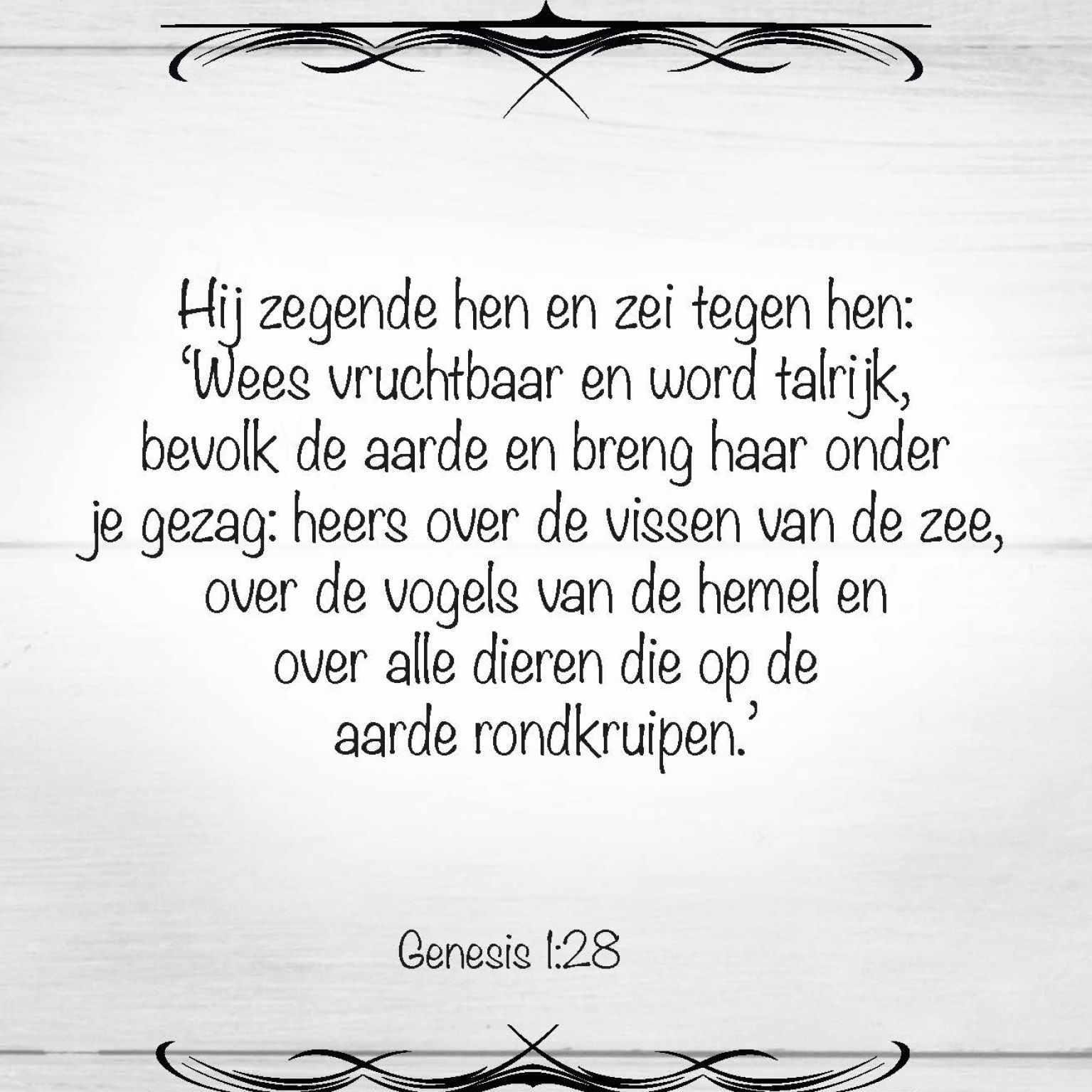 Scheurkalender 365 bijbelse beloften - 9789078893233 -  Kalenders & agenda's bij MajesticAlly