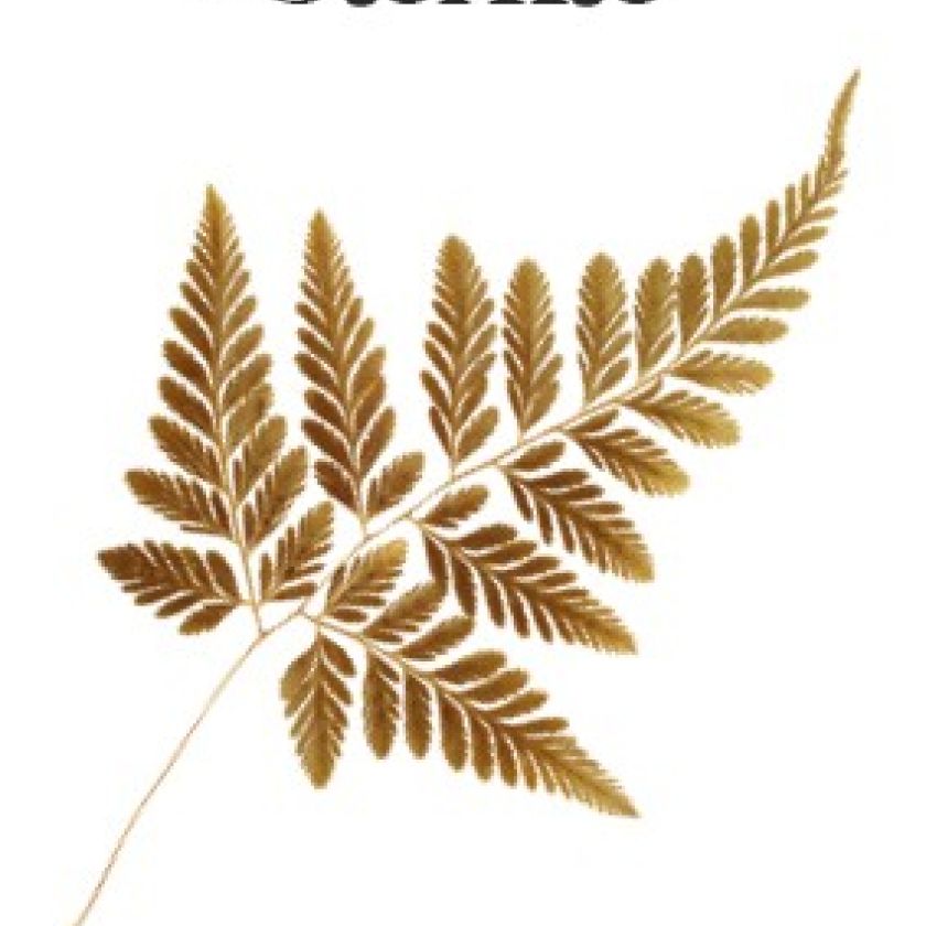 Kaart 'Sterkte' - 552613 -  Puur 2020 bij MajesticAlly