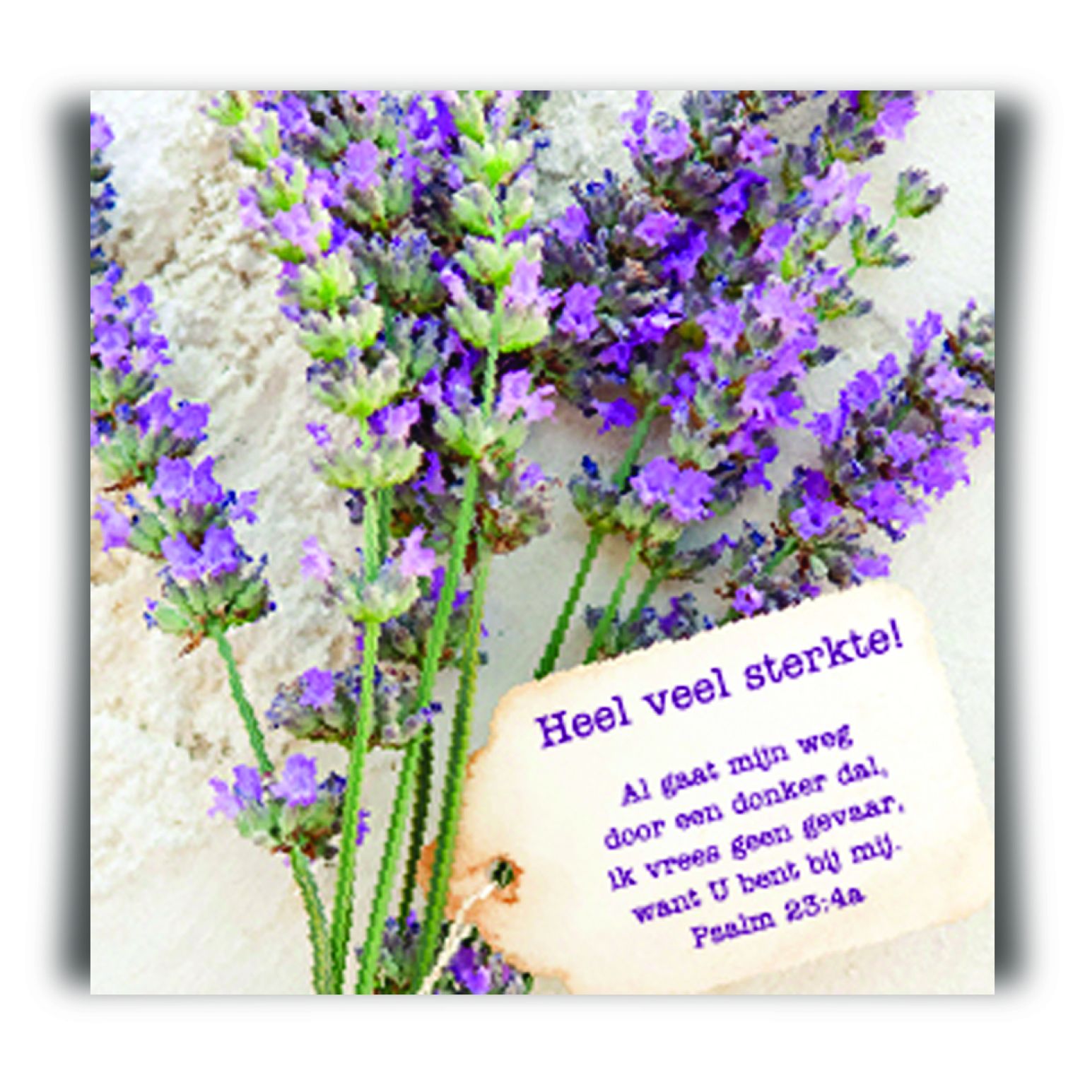 Kadokaartje heel veel sterkte - MA12124 -  Cadeaukaartjes bij MajesticAlly