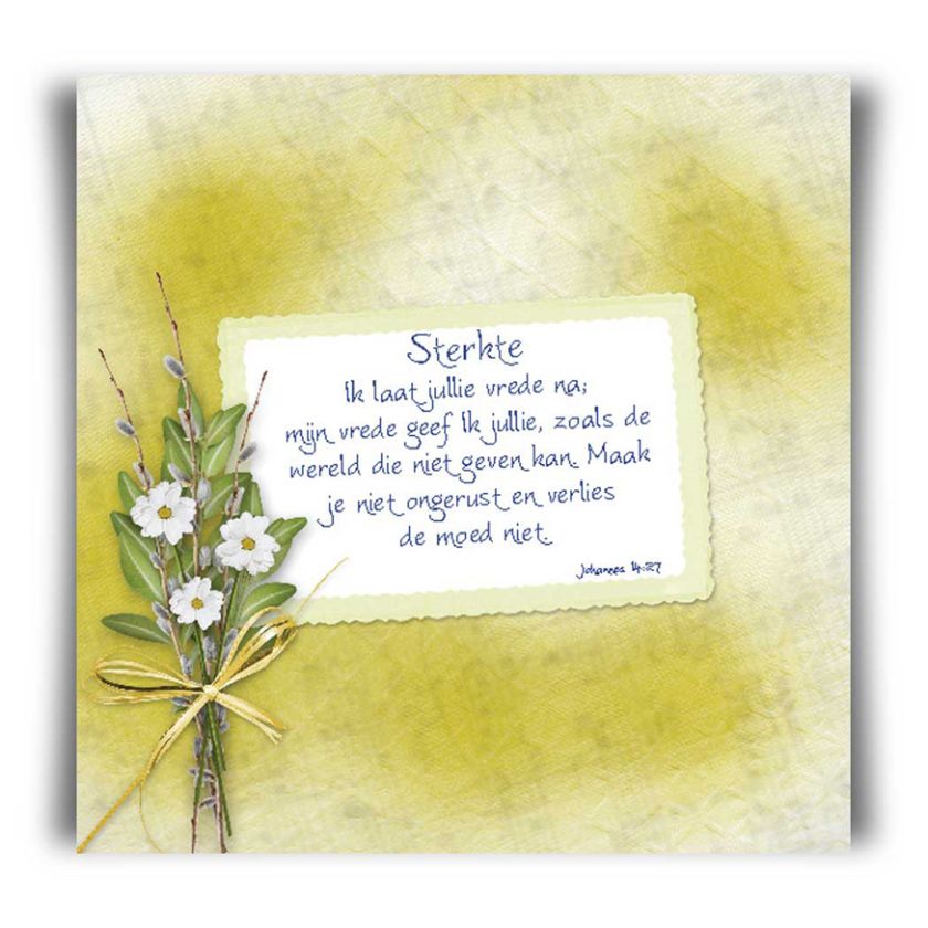 Kaart 'Sterkte - Ik laat jullie Mijn vrede na' - 45026 -  Bible Message bij MajesticAlly