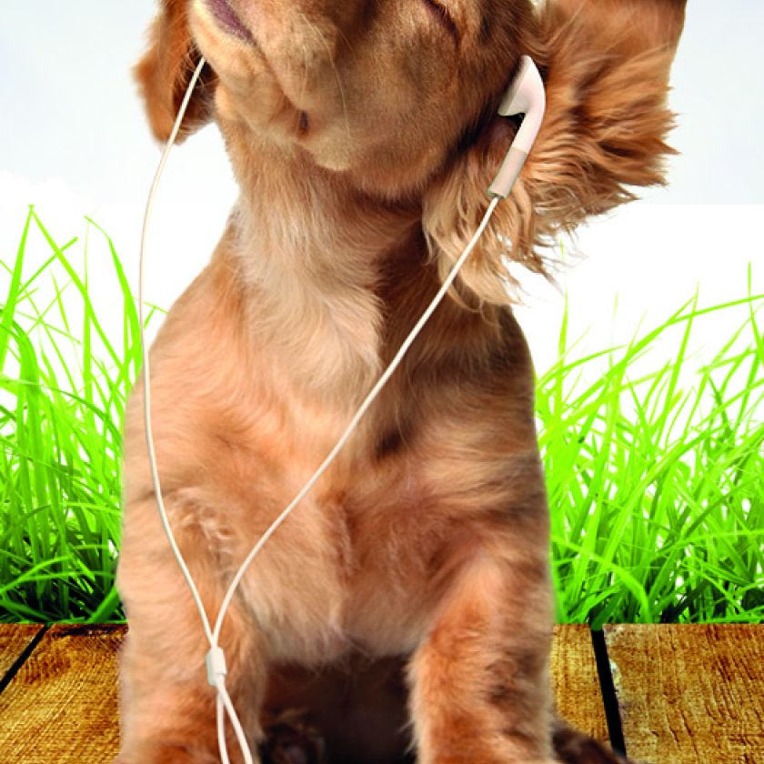 Complete serie boekenleggers 'David Sörensen' (12x12)