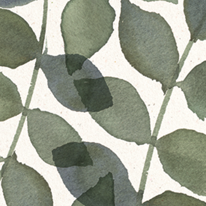 Blanco - 552866 -  Blanco bij MajesticAlly