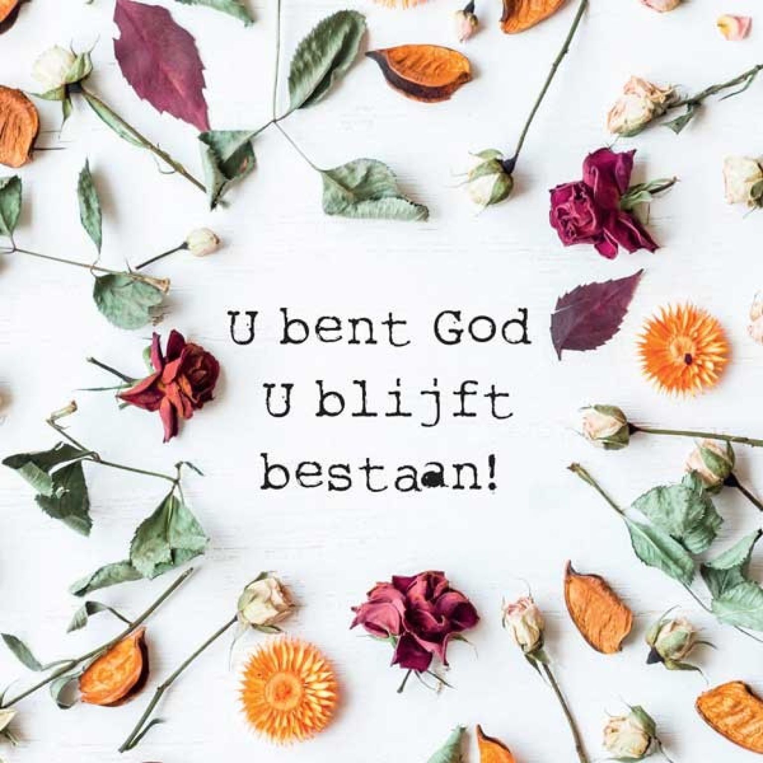 Cadeaubordje U blijft bestaan - MA17648 -  Cadeaubordjes klein bij MajesticAlly