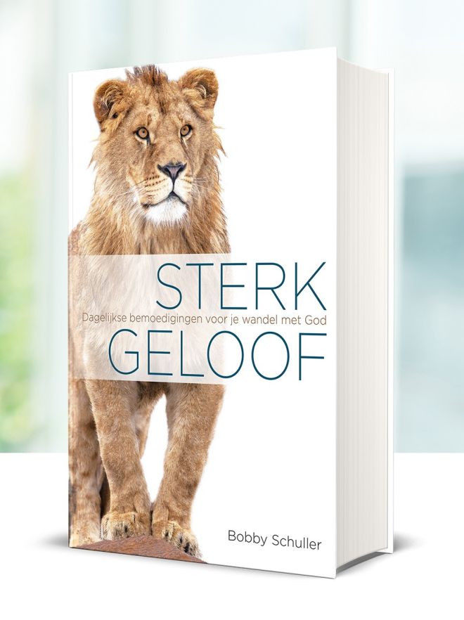 Dagboek 'Sterk geloof' - 9789493206182 -  Boeken bij MajesticAlly
