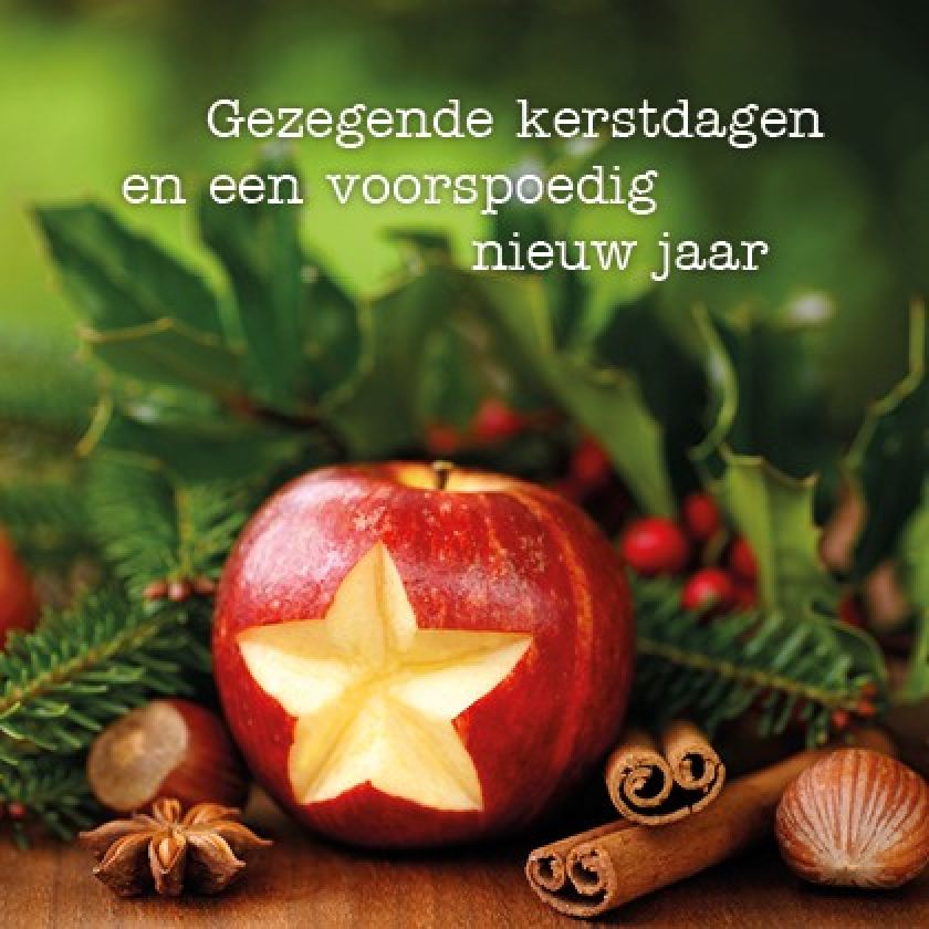 Voordeelpakje kerstkaarten 'Frozen 3' - 6 stuks - MA26060 -  Voordeelpakjes kerst bij MajesticAlly