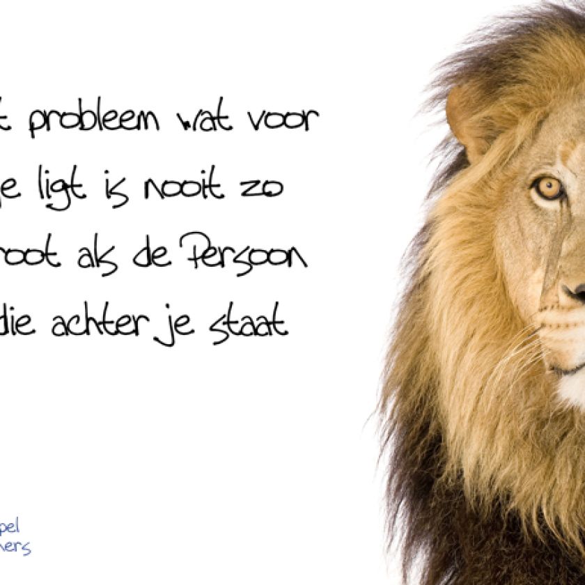 nieuwonliner ansichtkaarten voorkanten23 76b9f6ee