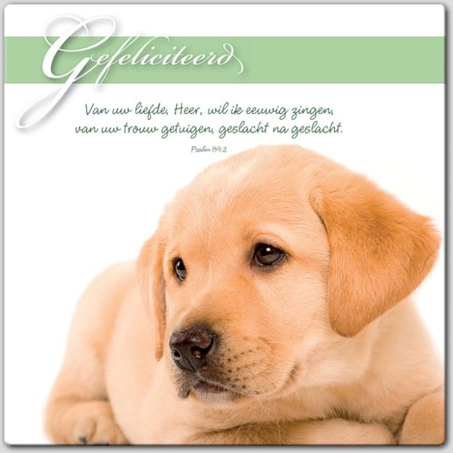 Wenskaart gefeliciteerd - 46179 -  Gefeliciteerd bij MajesticAlly