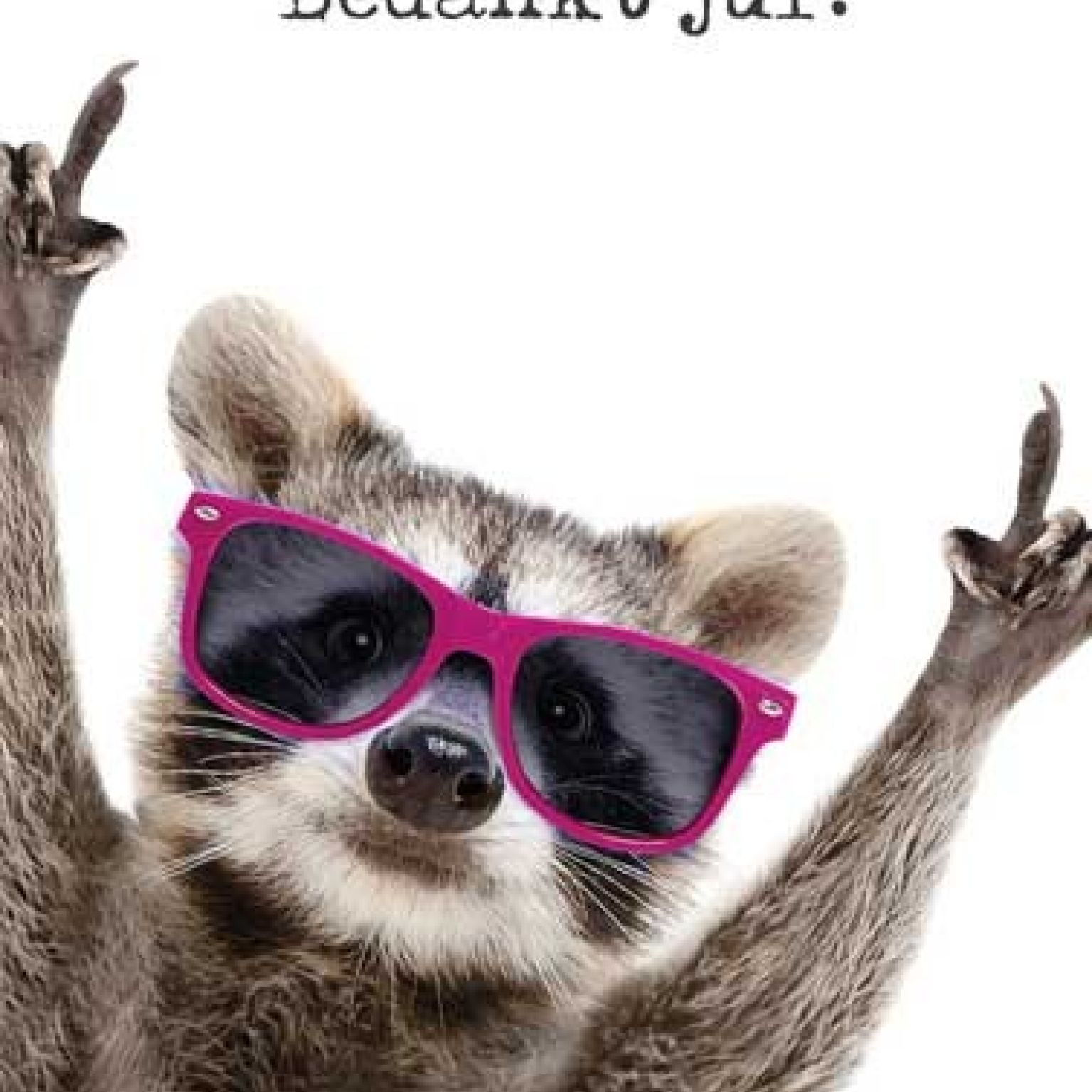 Voordeelkaart 'Bedankt juf - wasbeer' - MA38066 -  Voordeelkaarten christelijk bij MajesticAlly