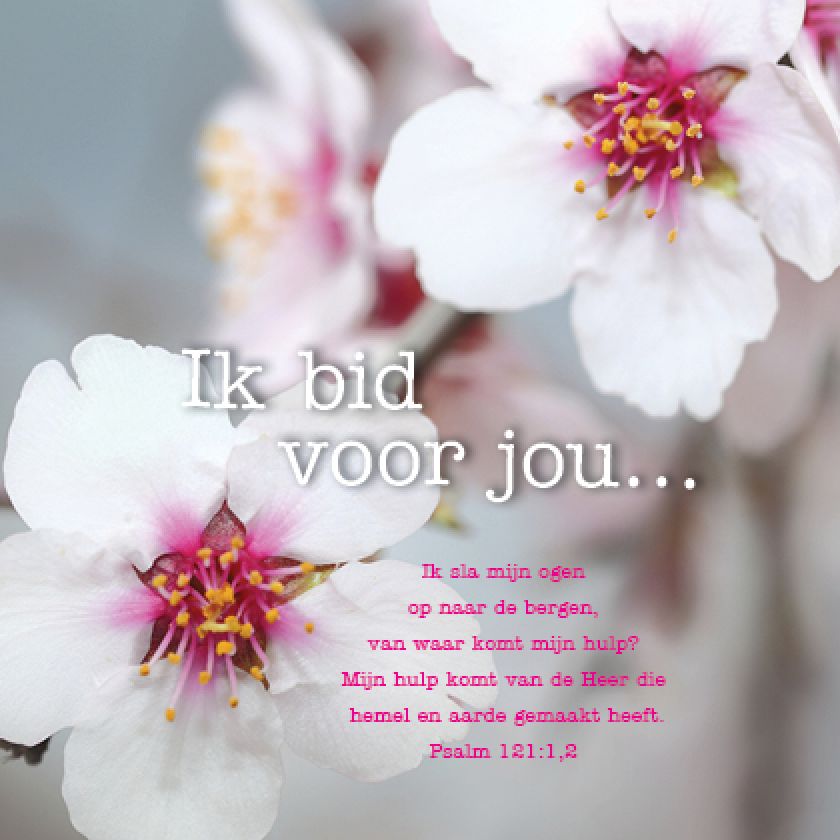 Kaart 'Ik bid voor jou' - MA12001 -  Lifestyle bij MajesticAlly