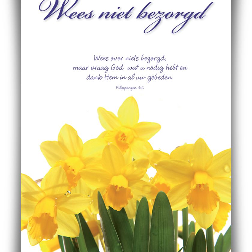 Poster A4 'Wees niet bezorgd' - 46815 -  Wanddeco/posters bij MajesticAlly