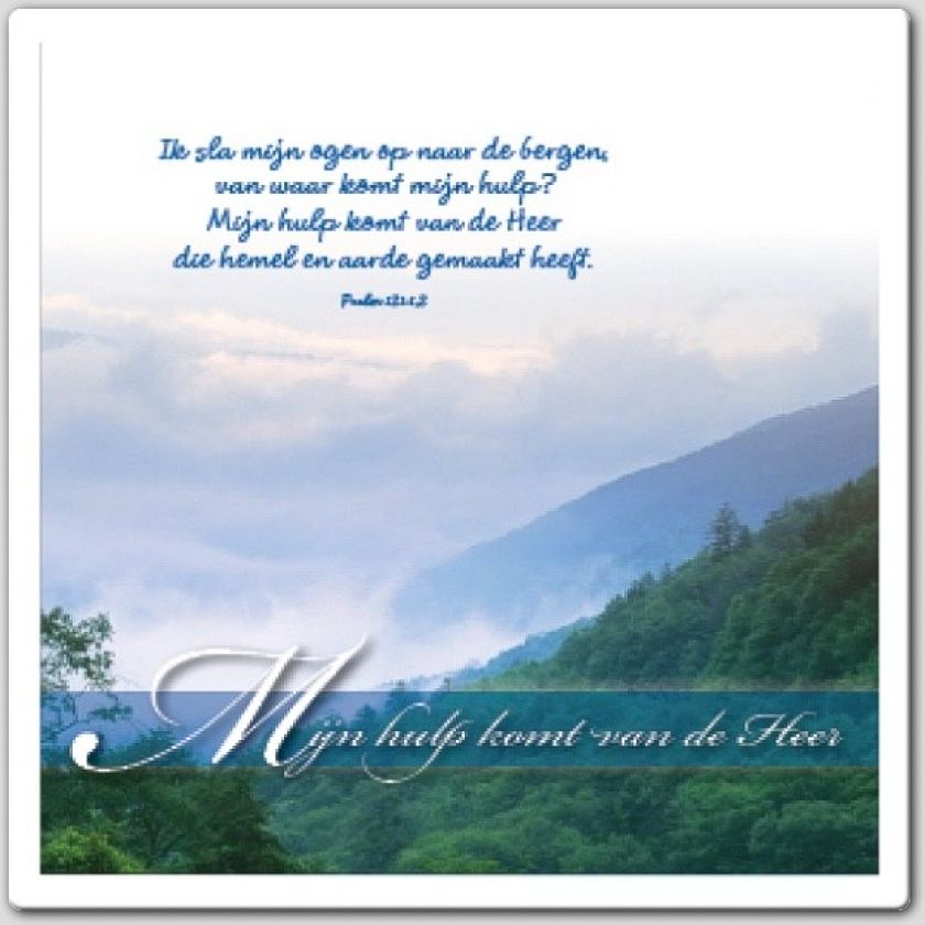 * Voordeelpakket 30 Square Prentbriefkaarten! - 47000 -  Square Natuur bij MajesticAlly