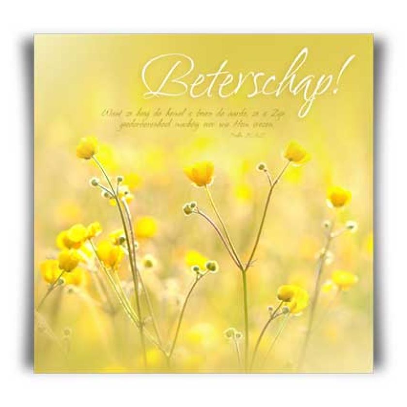 Kaart 'Beterschap - boterbloemen' - MA11036 -  David Sörensen bij MajesticAlly