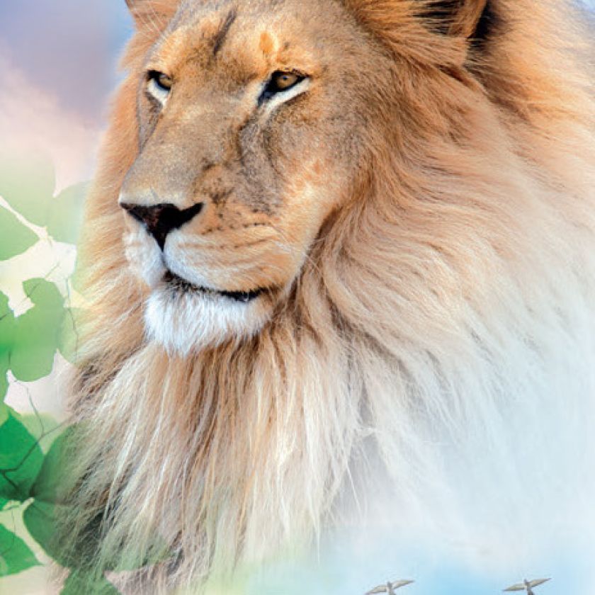 Boekenlegger glorious creator - MA11410 -  David Sorensen bij MajesticAlly