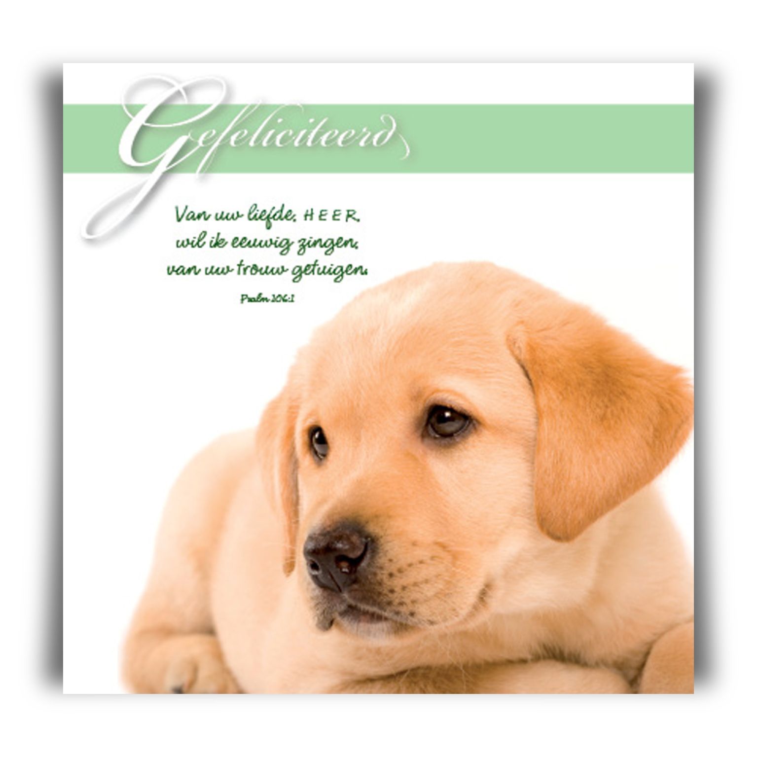 Prentbriefkaart 'Gefeliciteerd'