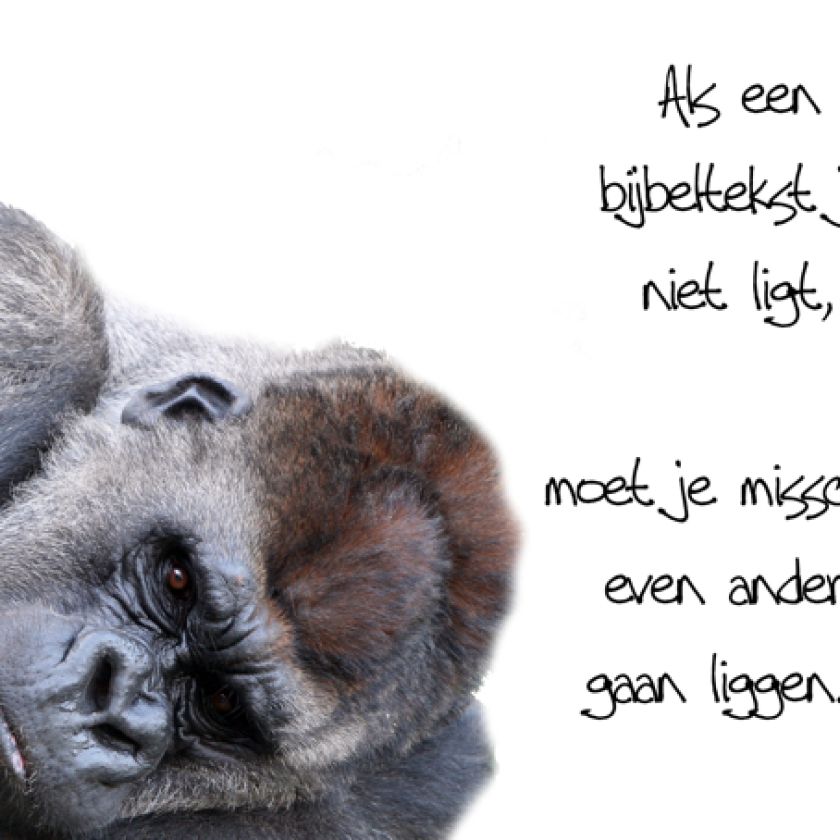 nieuwonliner ansichtkaarten voorkanten21 8446e4b7