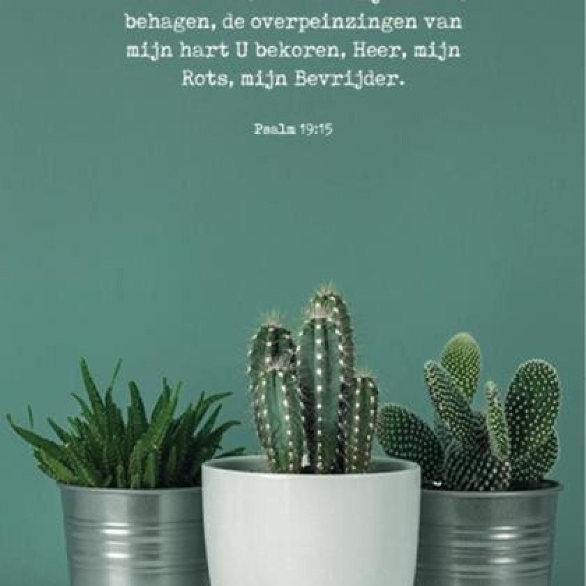 Kaartcadeau 'Laten de woorden van mijn mond' - MA37005 -  Kaarten bij MajesticAlly