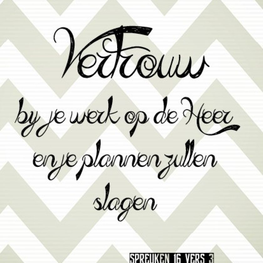 Voordeelpakket 10 verschillende viltborden - MA17520 -  Sale bij MajesticAlly