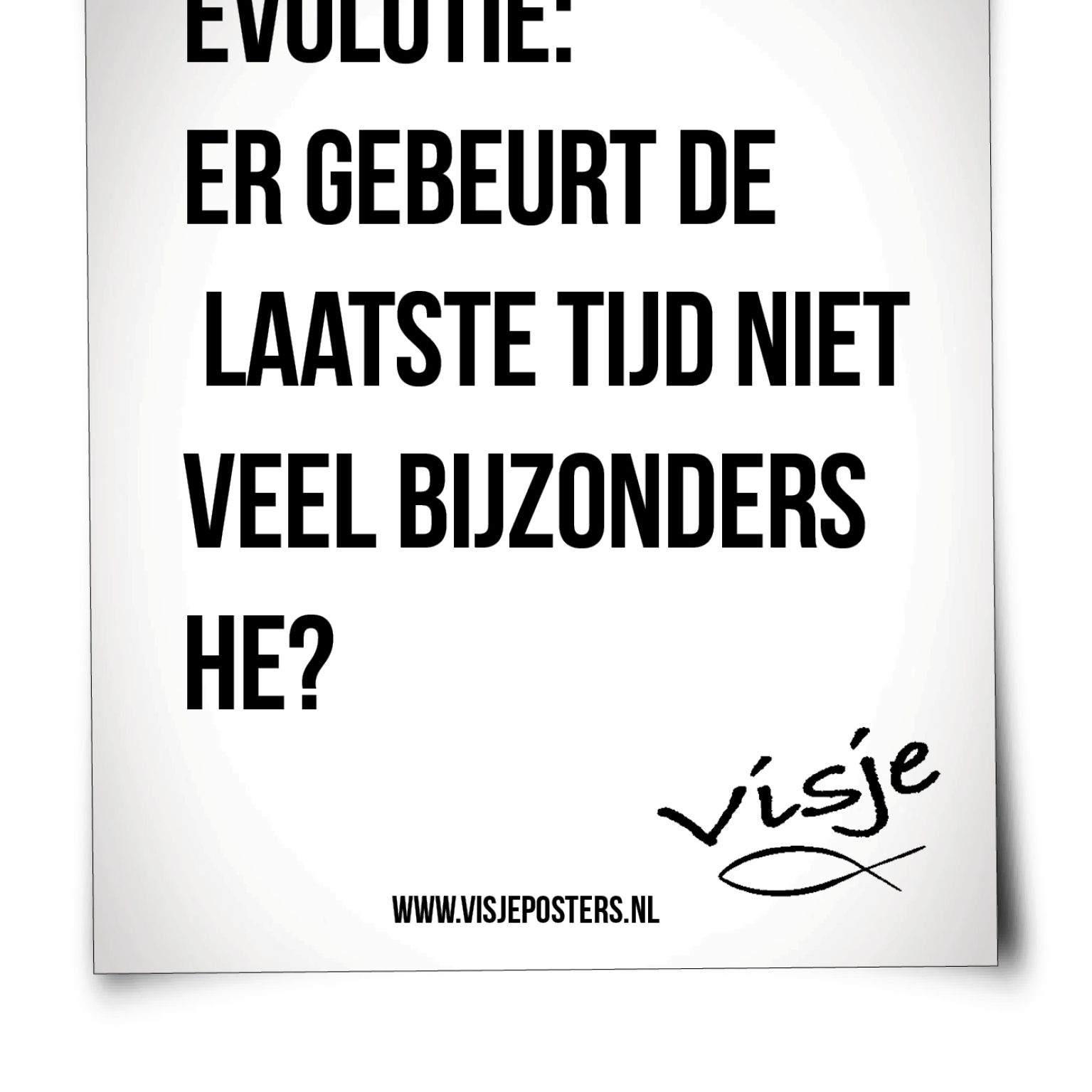 Scheurkalender 365 allerbeste visjes - 9789078893080 -  Kalenders & agenda's bij MajesticAlly