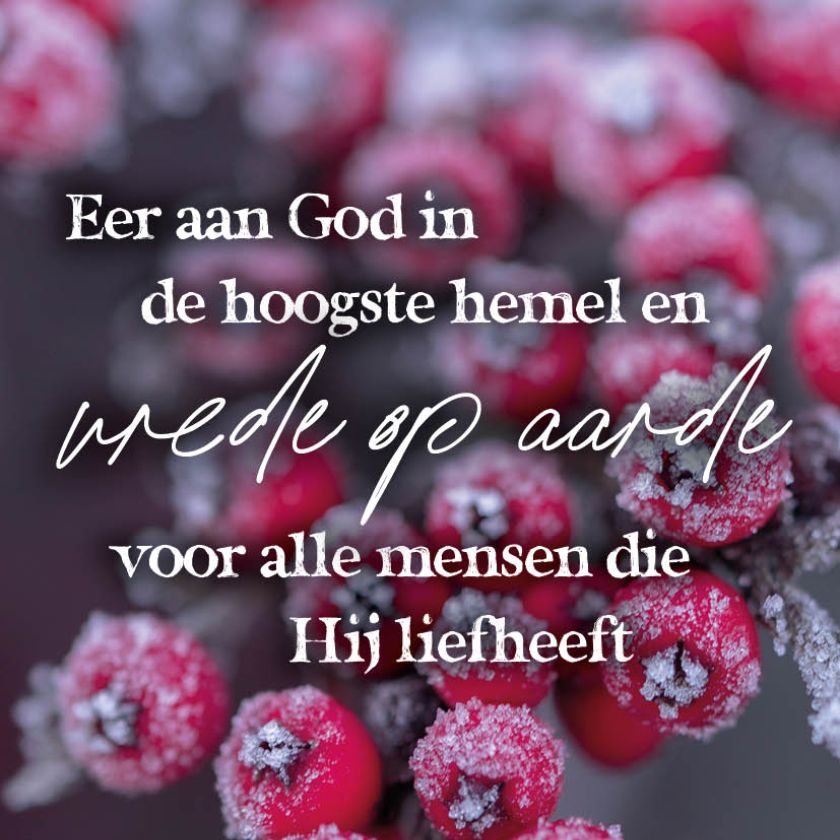 Eer aan God in de hoogste hemel en vrede op aarde voor alle mensen die Hij liefheeft
