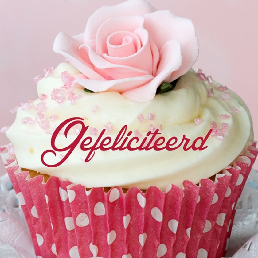 * Voordeelpakket Lifestyle  - 36 kaarten - MA12200 -  Pakjes kaarten bij MajesticAlly