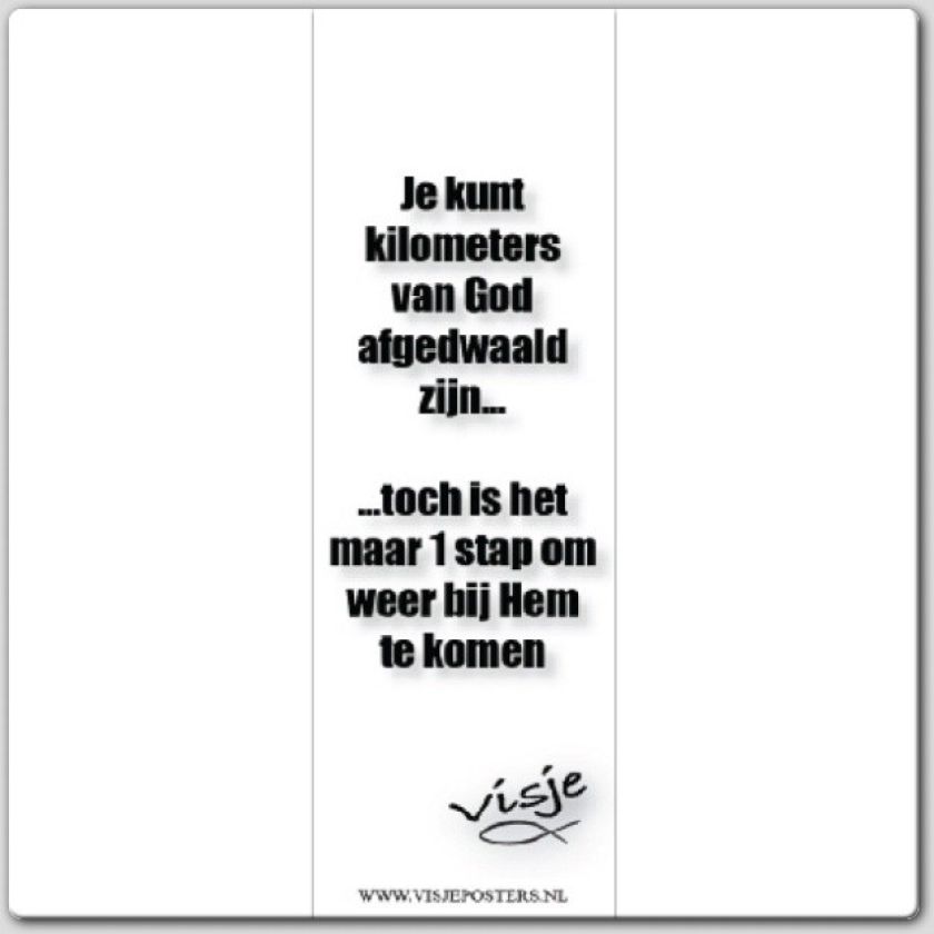 Boekenlegger visje je kunt kilometers va - 44856 -  Visje bij MajesticAlly