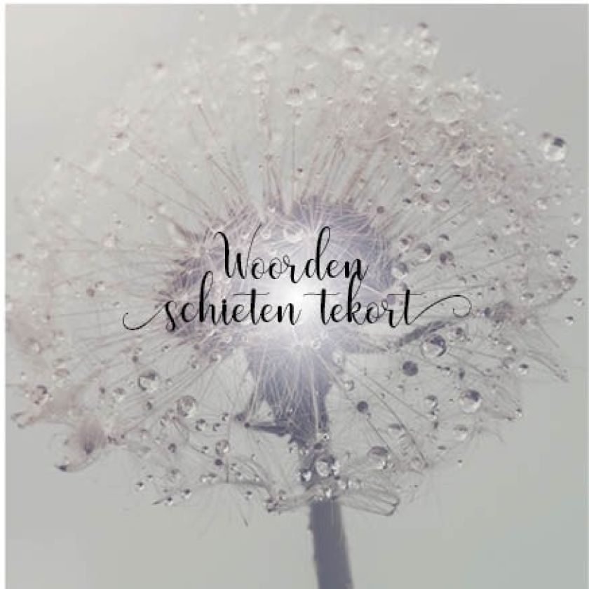 Kaart 'Woorden schieten tekort - blaasbloem' - MA34022 -  Stille momenten bij MajesticAlly