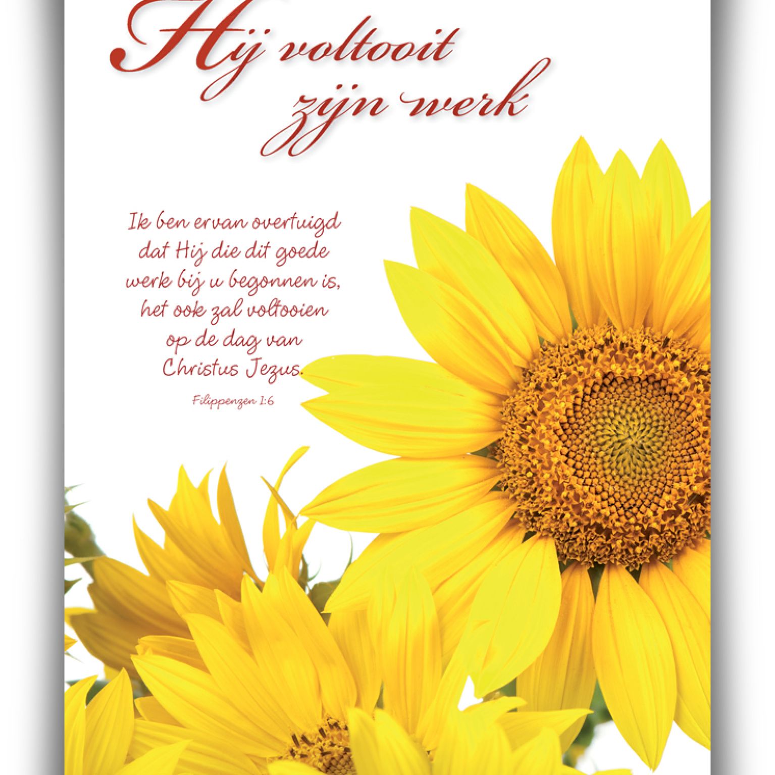 Poster A4 'Hij voltooit zijn werk' - 46812 -  Wanddeco/posters bij MajesticAlly