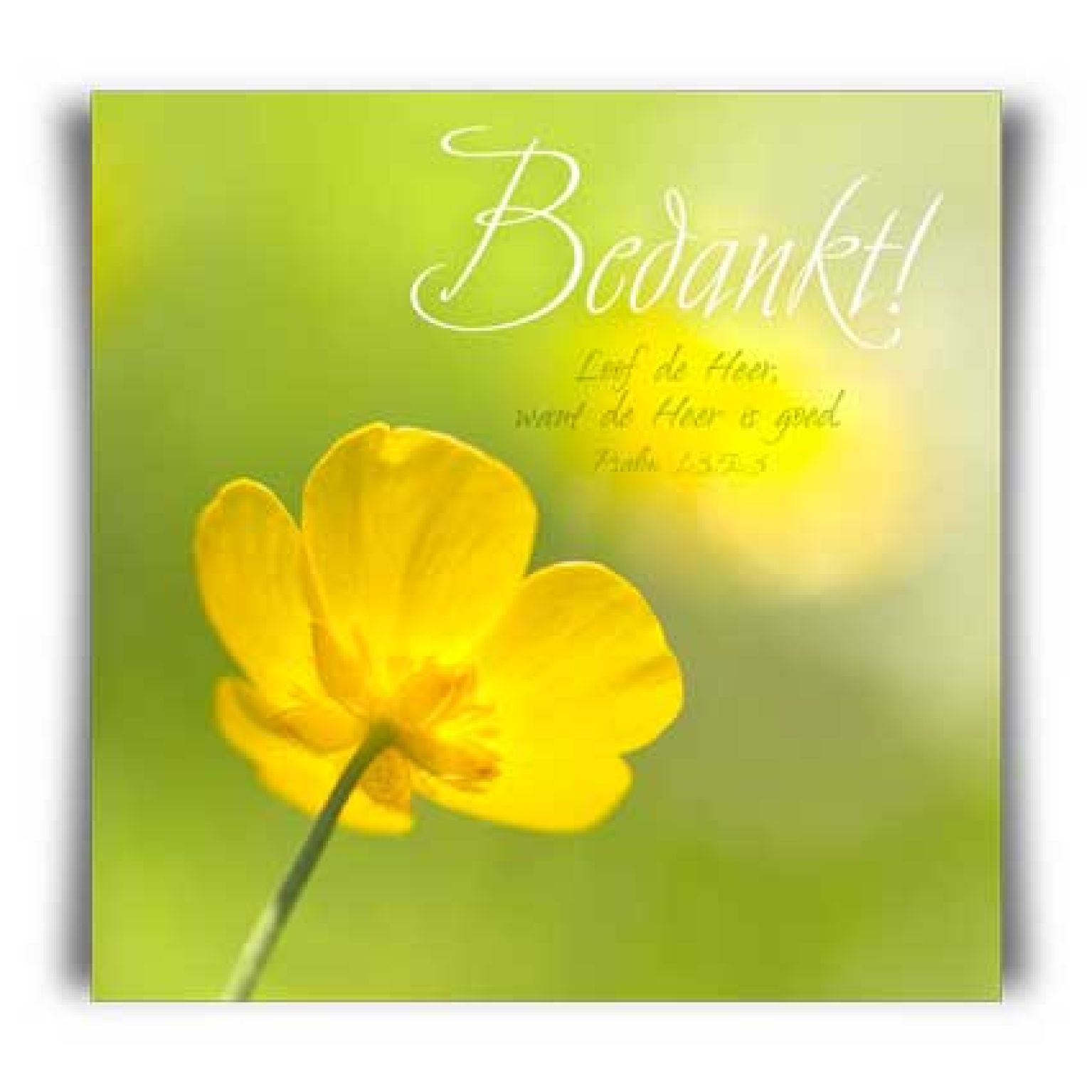 Kaart 'Bedankt - boterbloem' - MA11035 -  David Sörensen bij MajesticAlly