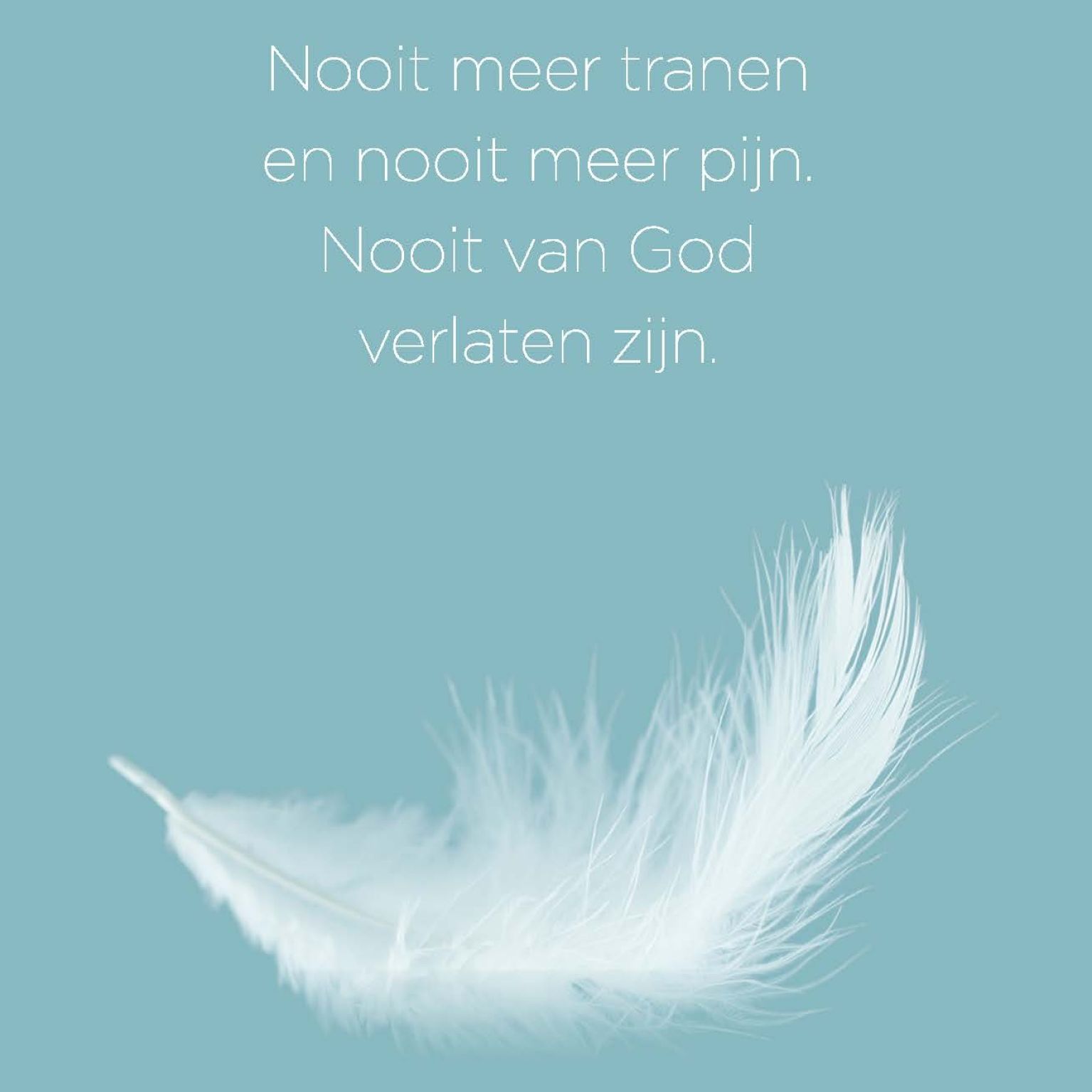 Opwekking 706 - 552682 -  Opwekking bij MajesticAlly